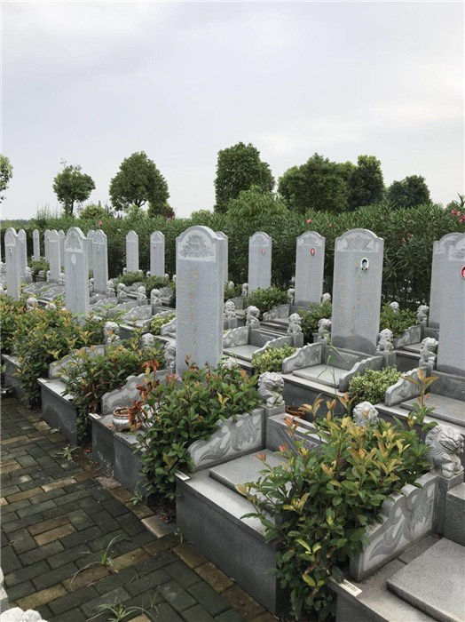 微信图片_20230401143724.png