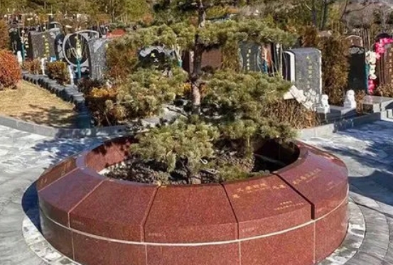 北京生态葬树葬花葬墓园 北京生态葬树葬花葬墓园