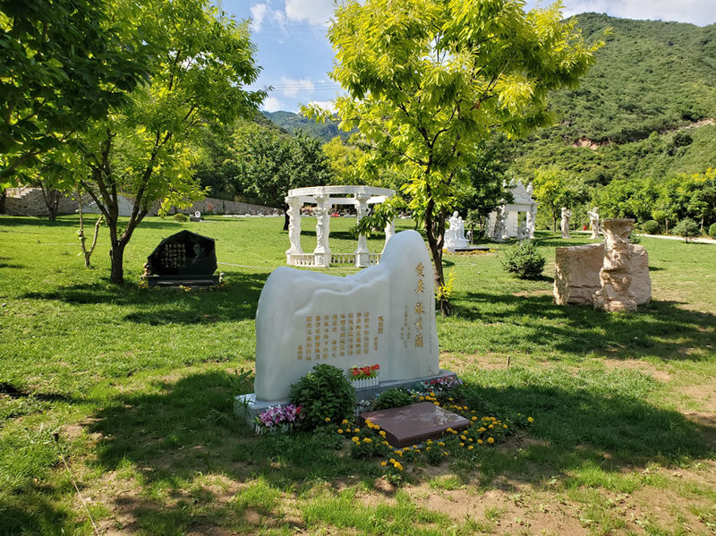 67aaea365b64d.jpg