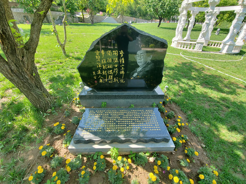 67aaeb0edf705.jpg