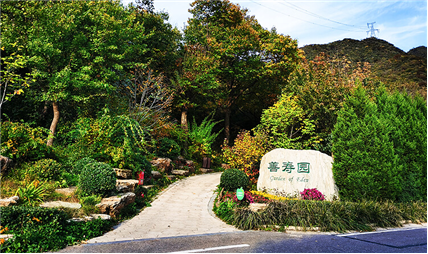 full_46_20240620145005_zim9as.png