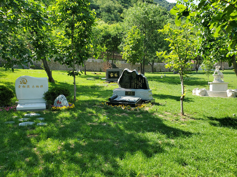 67b04f95cc305.jpg 10_副本.jpg